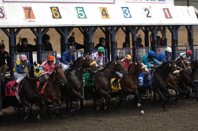 RaceBets